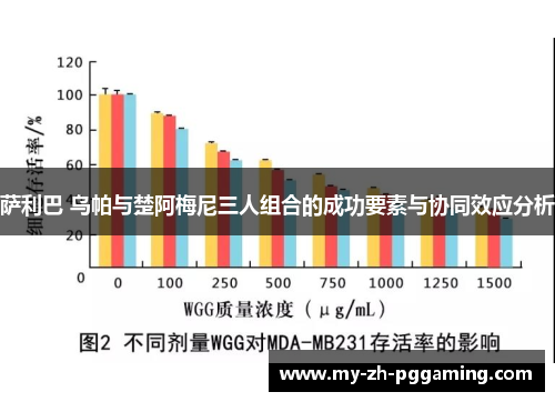 萨利巴 乌帕与楚阿梅尼三人组合的成功要素与协同效应分析