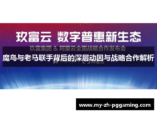魔鸟与老马联手背后的深层动因与战略合作解析